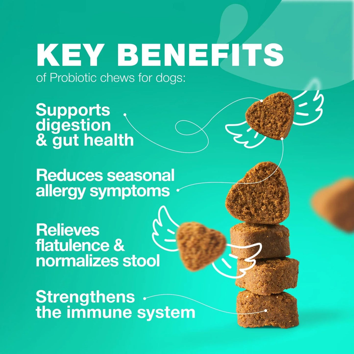 Dogs Support Gut Health Immunity Yeast Balance Itchy Skin Allergies Probiotics And Digestive Enzymes Coprophagia Deterrent For Dogs 70 Probiotic Chews For Dogs