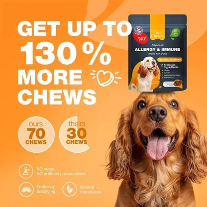 Dog Allergy Relief Chews Itch Relief For Dogs Anti Itch Dog Allergy Chews US Formulated Dog Itching Skin Relief With Salmon Oil Immune Health Seasonal Allergies & Hot Spots Support Treats