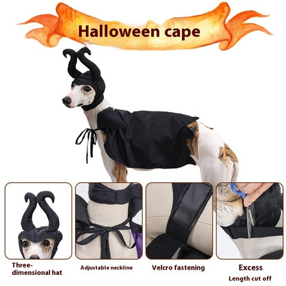 Halloween Dog Cloak And Hat Pet Clothing