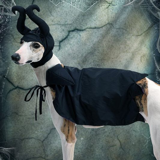 Halloween Dog Cloak And Hat Pet Clothing