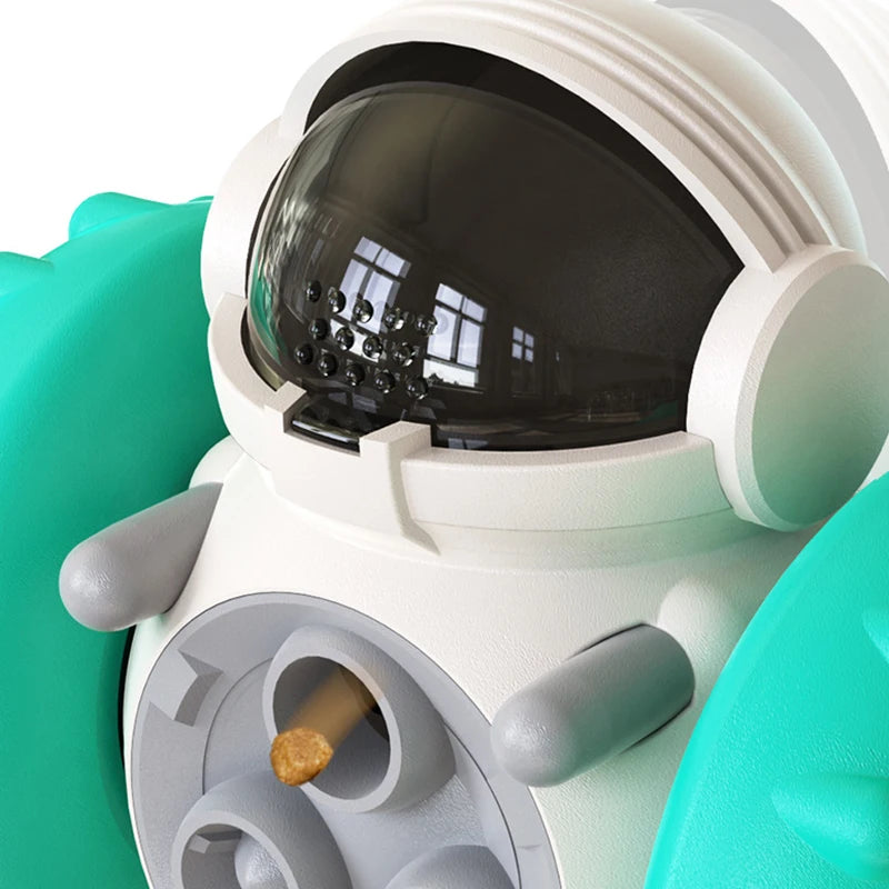 Interactive Chew & Learn Toy™