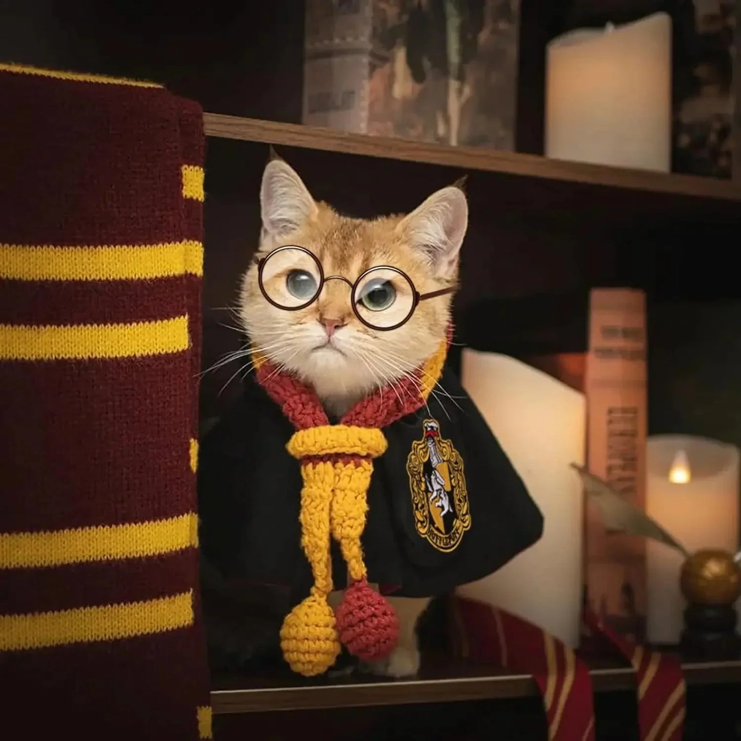 Whimsical Pet Halloween Cloak™