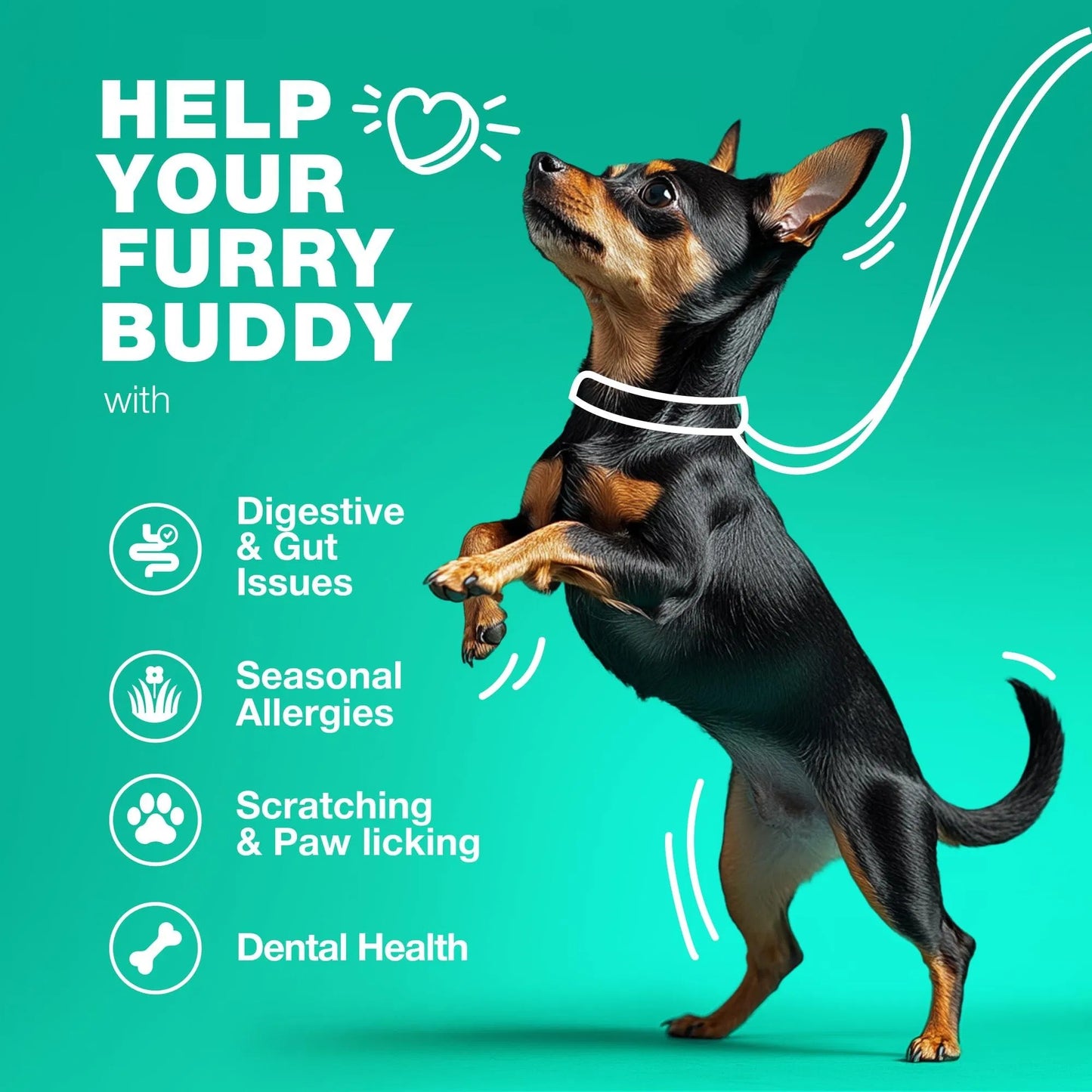 Dogs Support Gut Health Immunity Yeast Balance Itchy Skin Allergies Probiotics And Digestive Enzymes Coprophagia Deterrent For Dogs 70 Probiotic Chews For Dogs